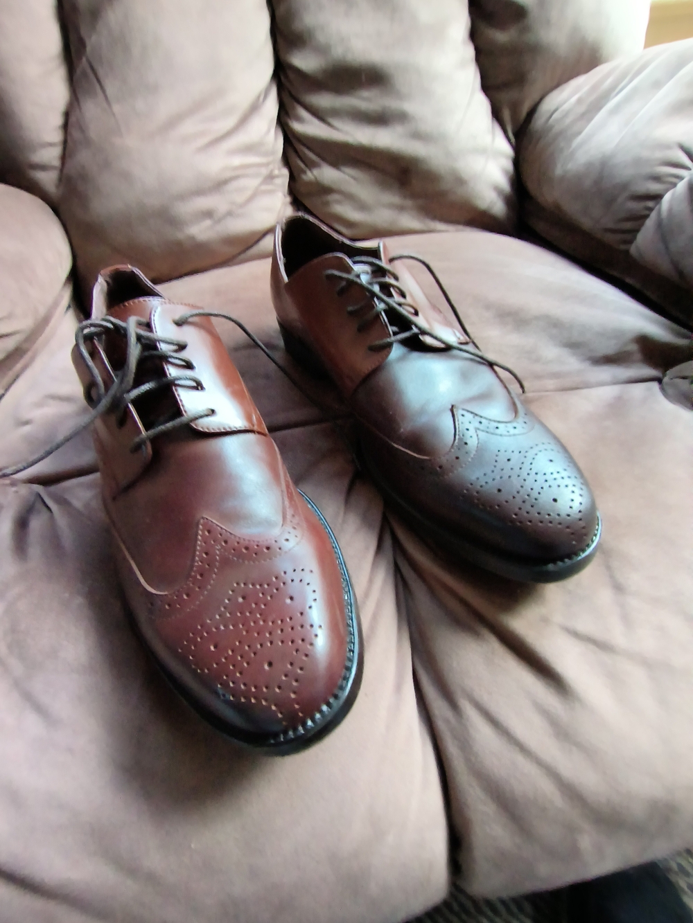 Size 11 Men's Brogue Oxfords in Brown Merona